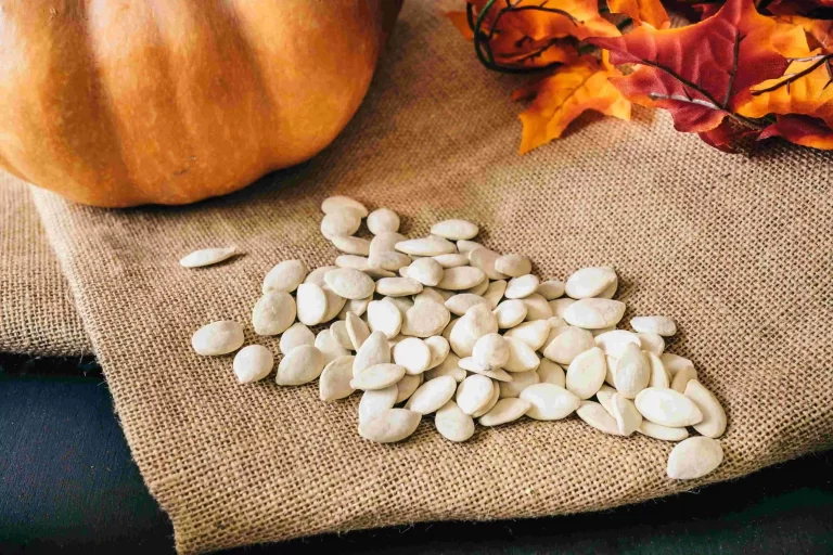 Kabak Çekirdeği Yağı Saç Dökülmesini Önlüyor Mu?